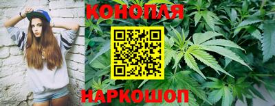 apvp Кунгур