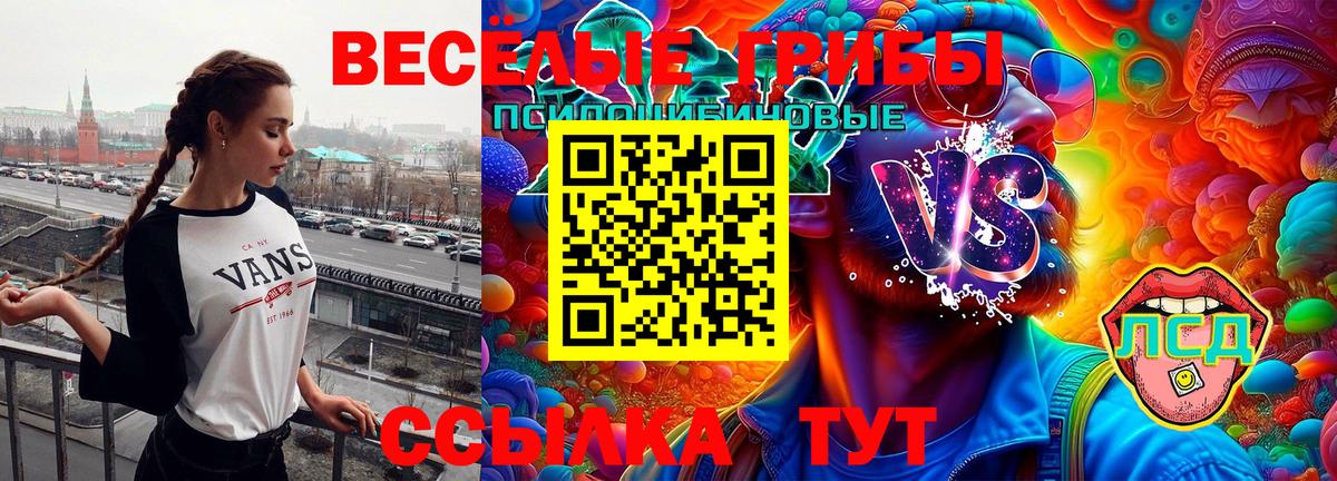 Галлюциногенные грибы MAGIC MUSHROOMS Кашира